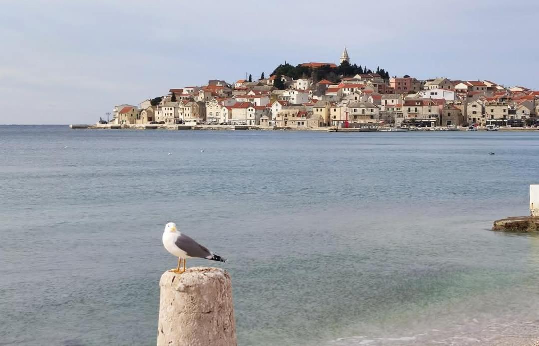 Villa Eni Primošten Екстериор снимка